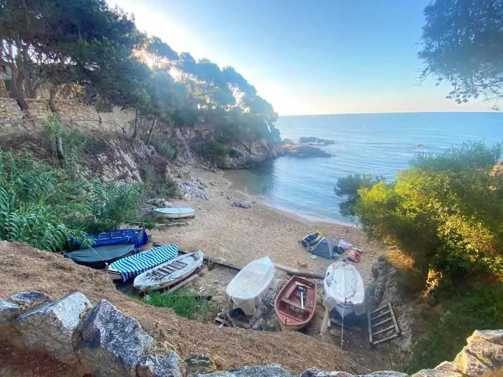 Direct Beachpetfriendly By Rinconesmediterraneos Calonge  España