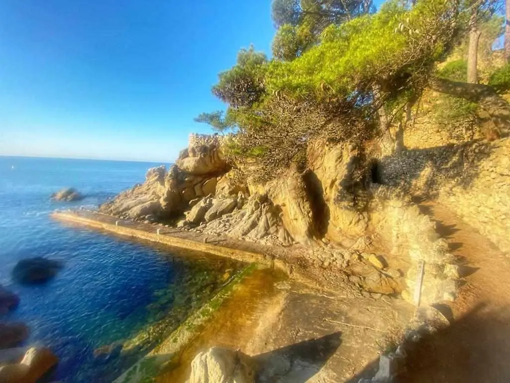 Direct Beachpetfriendly By Rinconesmediterraneos Calonge  Apartment Calonge (Catalonia)